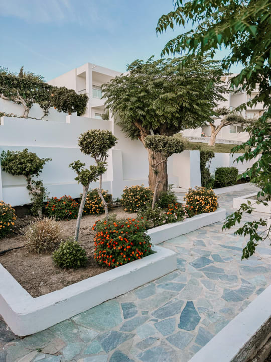 Gartenanlage Dimitra Beach Hotel & Suites
