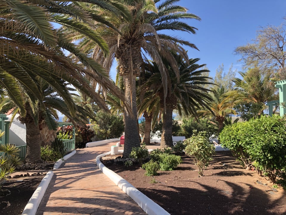 Gartenanlage Aldiana Club Fuerteventura