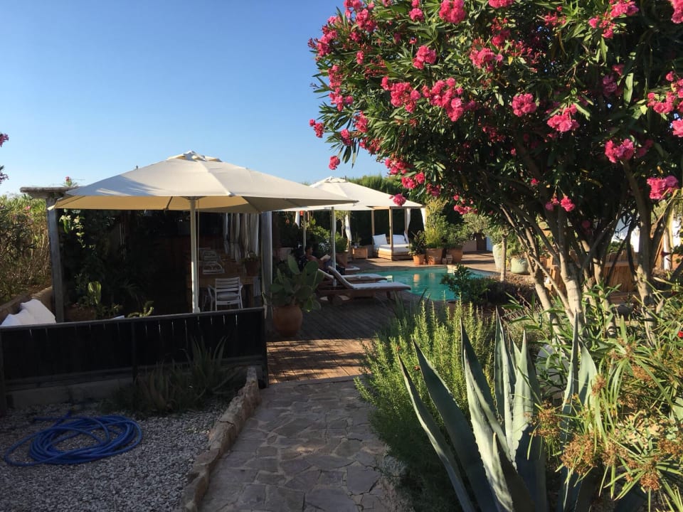 Pool Guesthouse Can Aisha