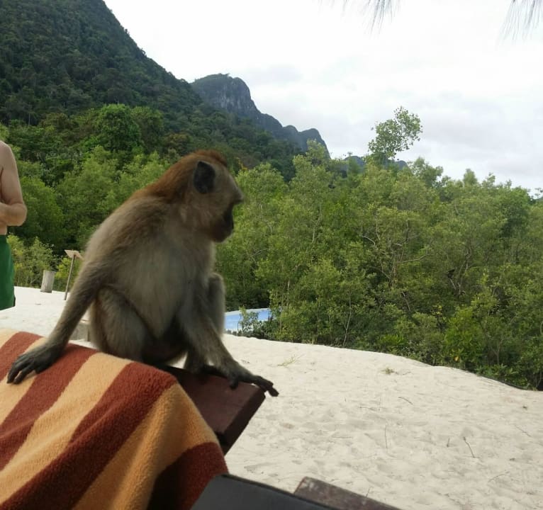 Strand Berjaya Langkawi Resort