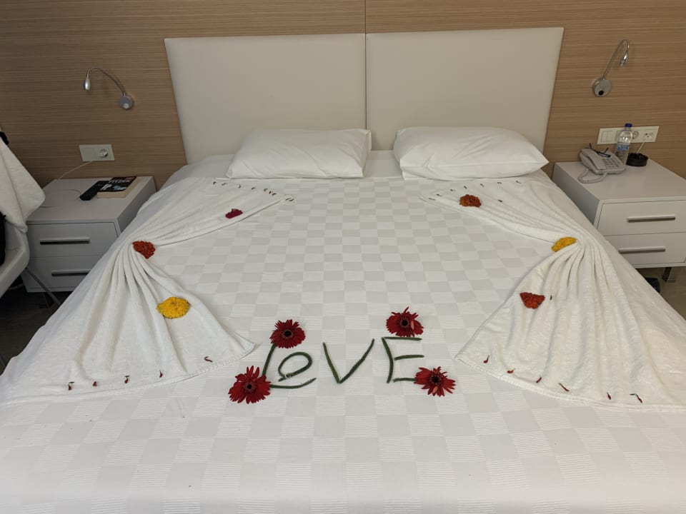 Zimmer AQI Pegasos World