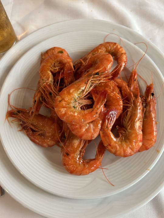 Gastro Sentido Trendy Verbena Beach