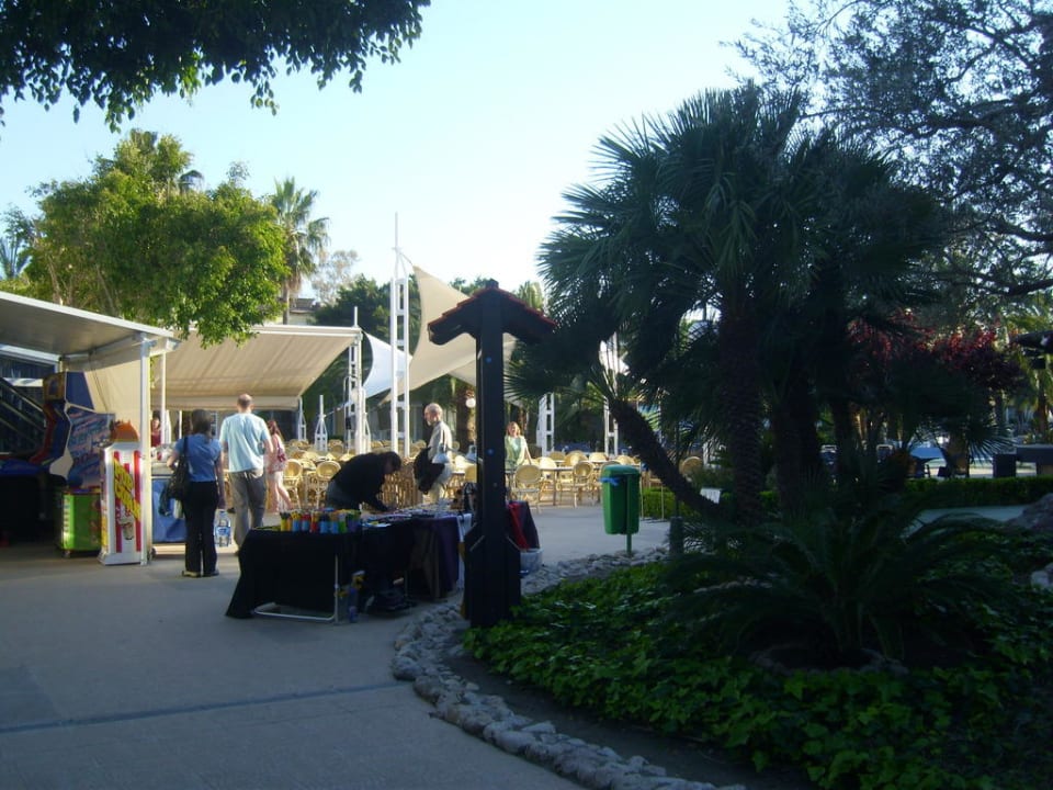 Barbereich draussen Alcudia Garden Aparthotel