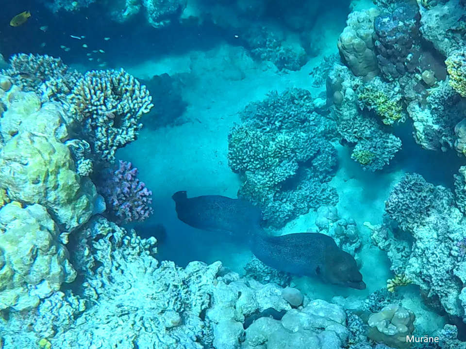 Sonstiges Utopia Beach Club