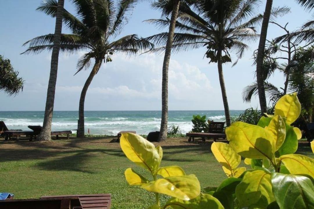 Gartenanlage Hotel Koggala Beach