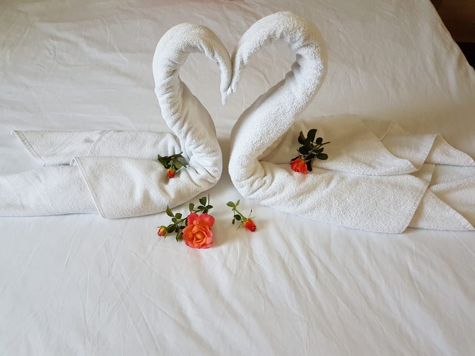 Zimmer Marvida Family Eco