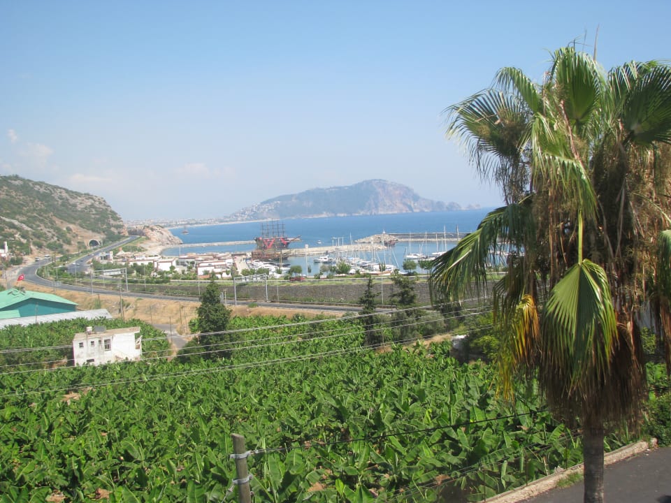 Gartenanlage La Finca Marina