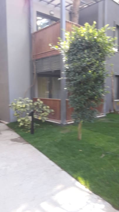 Unser Balkon Balmy Foresta