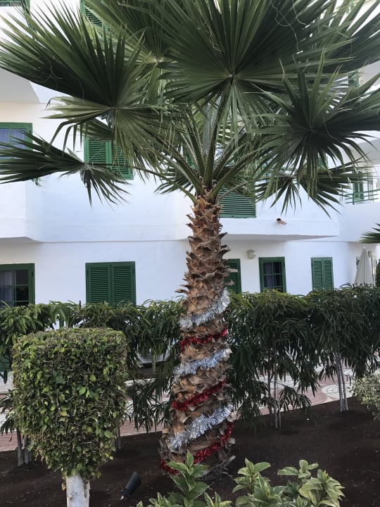 Gartenanlage Servatur Playa Bonita