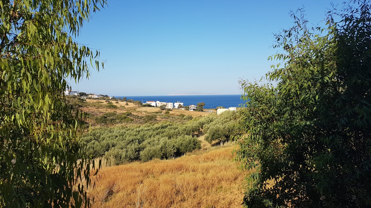 Ausblick Pelagia Bay Hotel