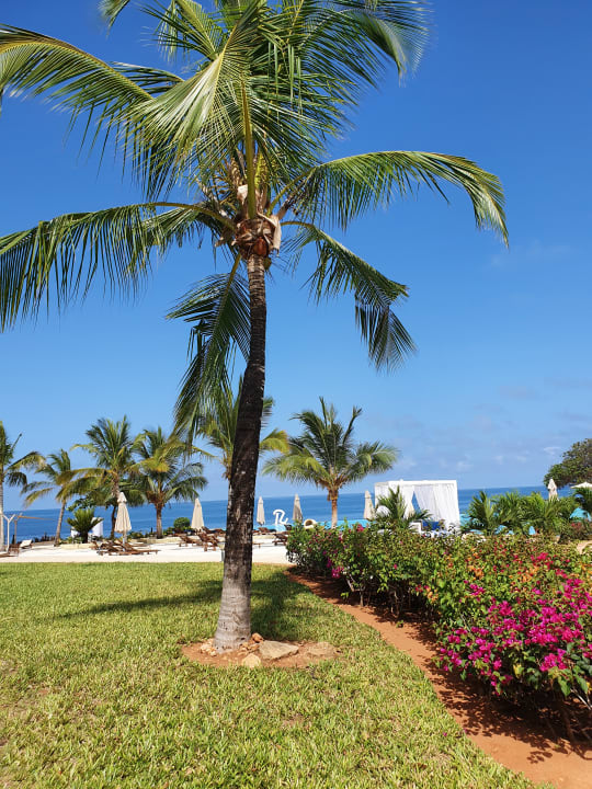 Gartenanlage Royal Zanzibar Beach Resort