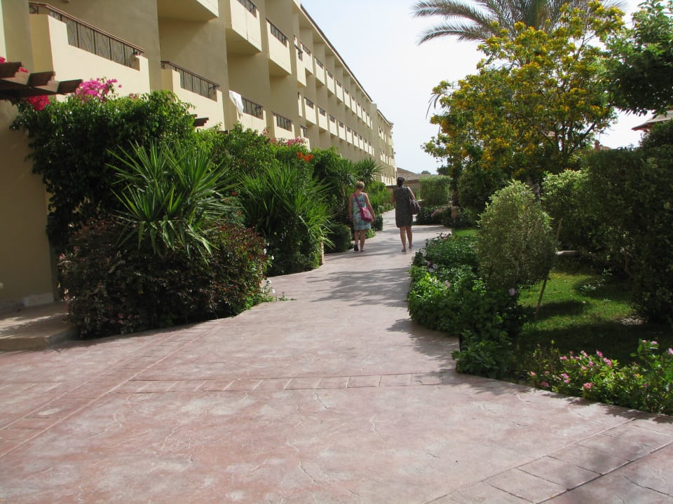 Droga na plażę Amwaj Beach Club Abu Soma Resort