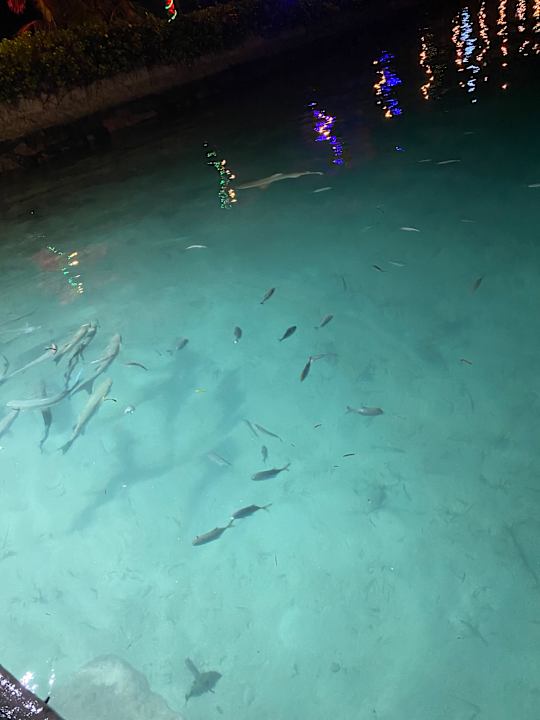 Strand Adaaran Select Hudhuran Fushi - Premium All Inclusive