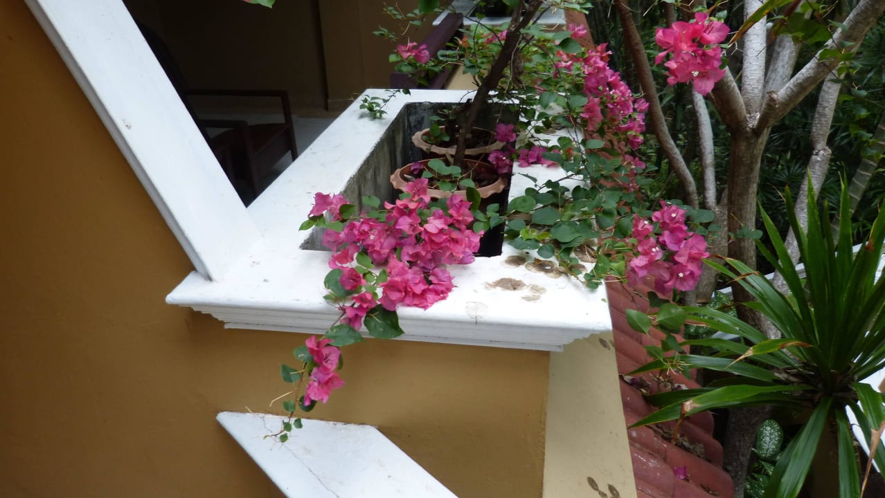 Blume The Fair House Beach Resort