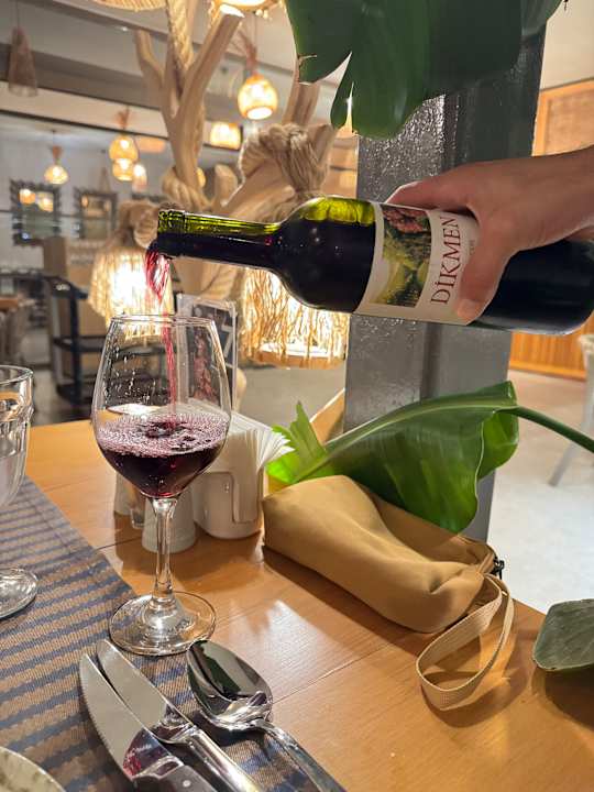 Gastro Delphin BE Grand