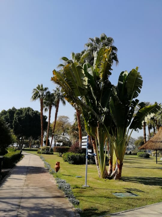 Außenansicht Jolie Ville Kings Island Luxor