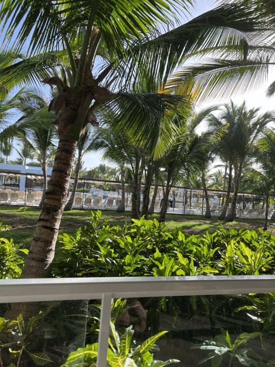 Gartenanlage Hotel Riu Republica - Adults only