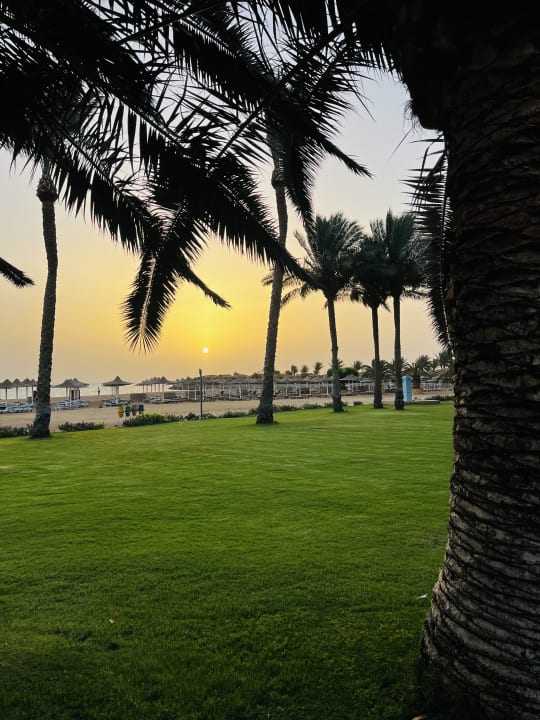 Gartenanlage Stella Beach Resort & Spa Makadi Bay