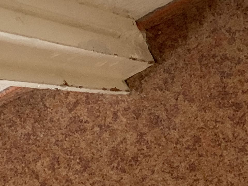 Zimmer ibis Paris 17 Clichy Batignolles