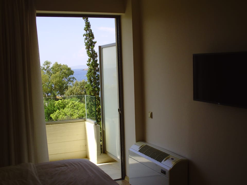 Zimmer Amarilia Hotel