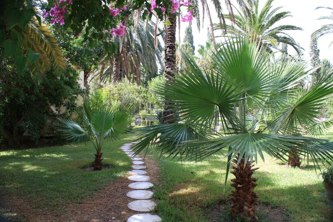 Kleiner Weg am Teich vorbei Hotel Paradis Palace