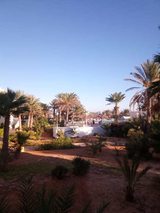 Ausblick Calimera Yati Beach