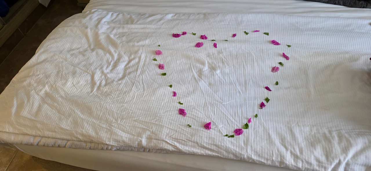 Zimmer Beach Albatros Resort