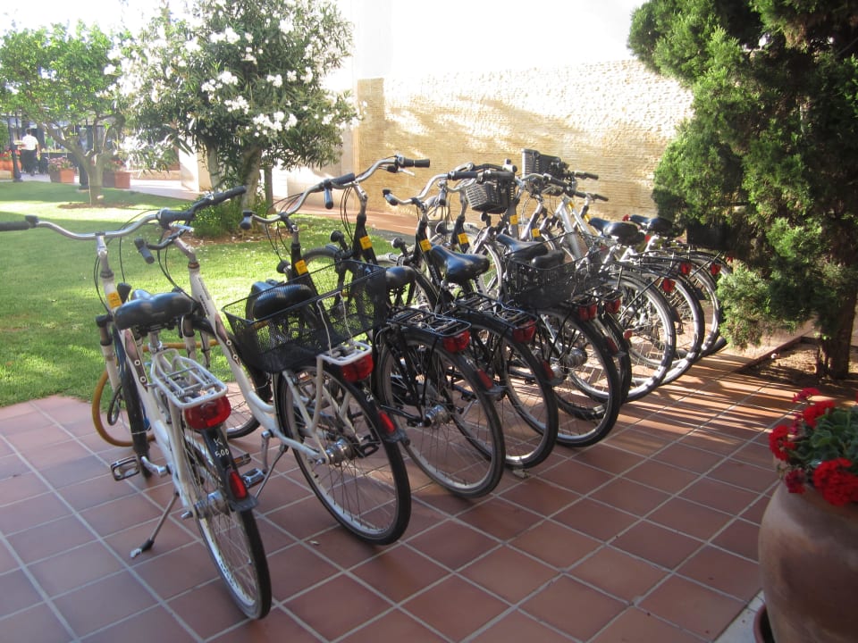 Fahrräder zur Miete CM Playa del Moro