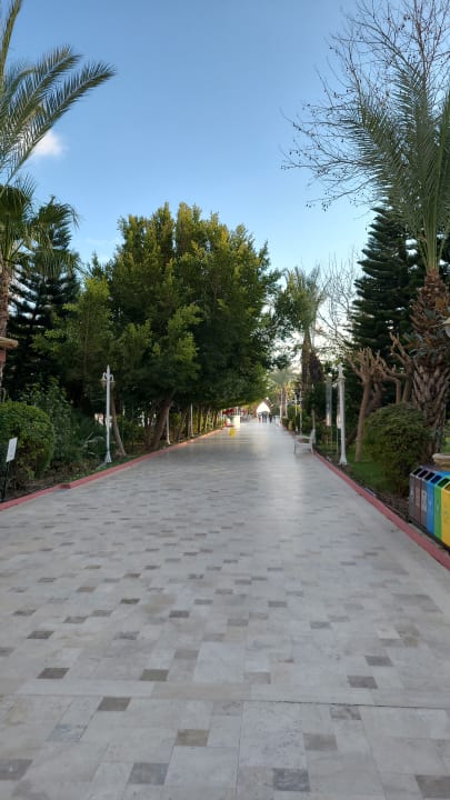 Gartenanlage Hotel Delphin Imperial