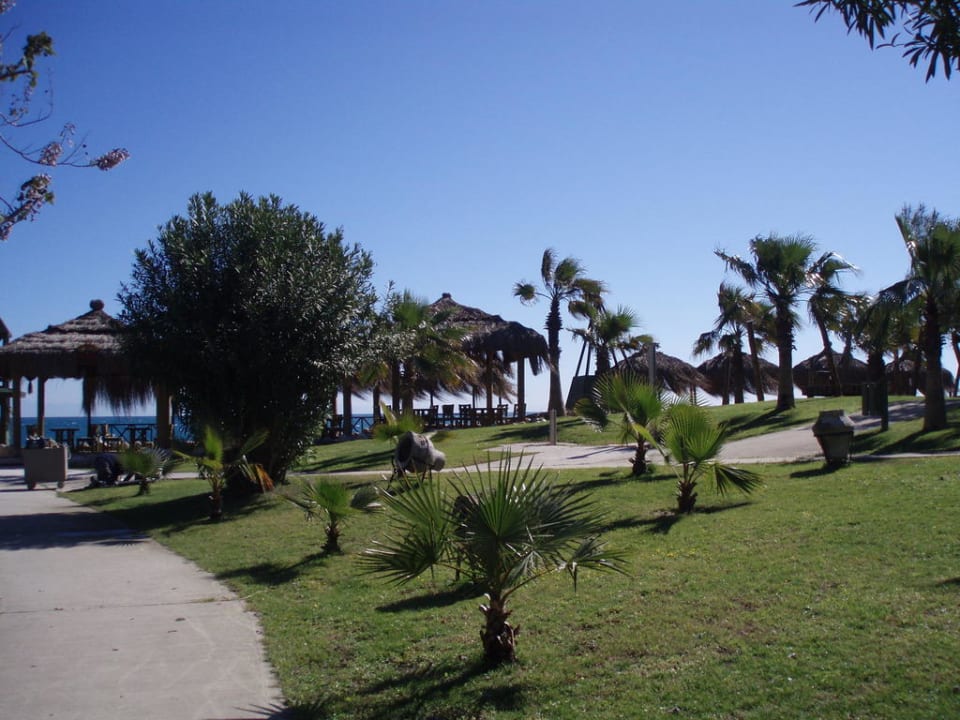 Der Weg ist das Ziel Balmy Foresta