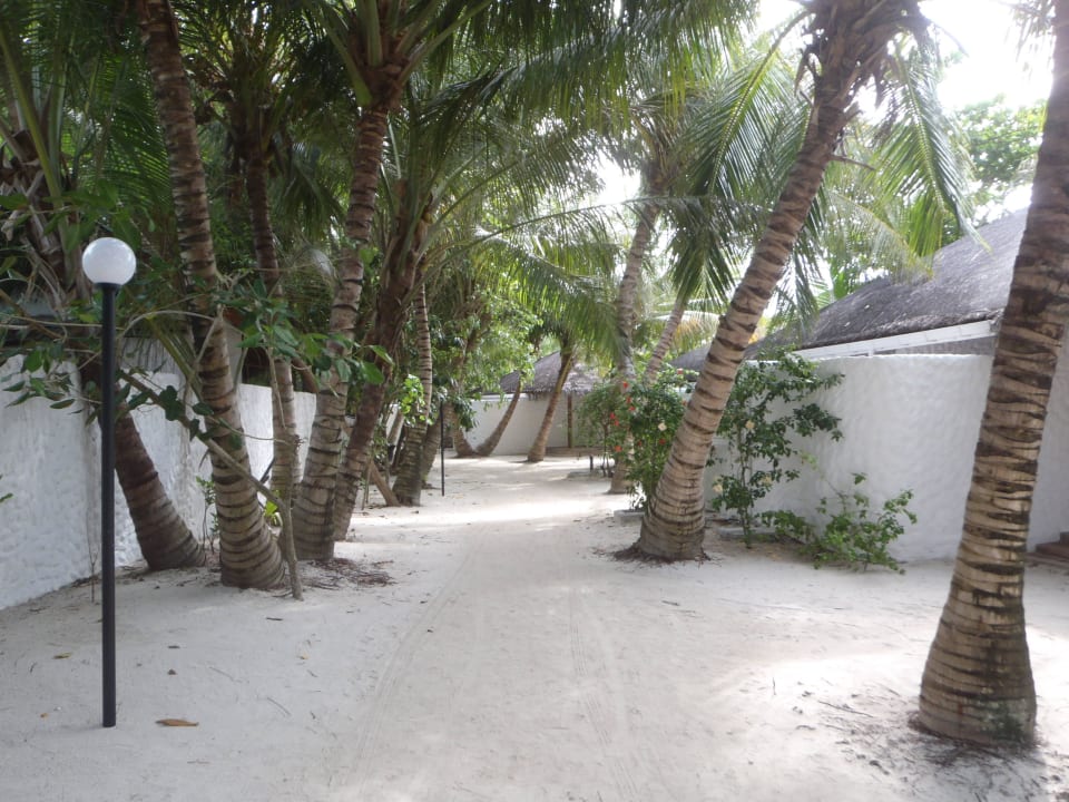 Gartenanlage hinter Beachbungalows Cinnamon Dhonveli Maldives