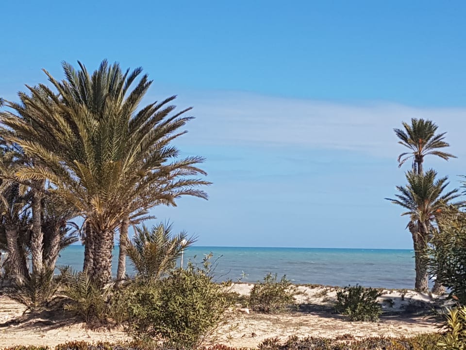 Strand Hotel El Mouradi Djerba Menzel