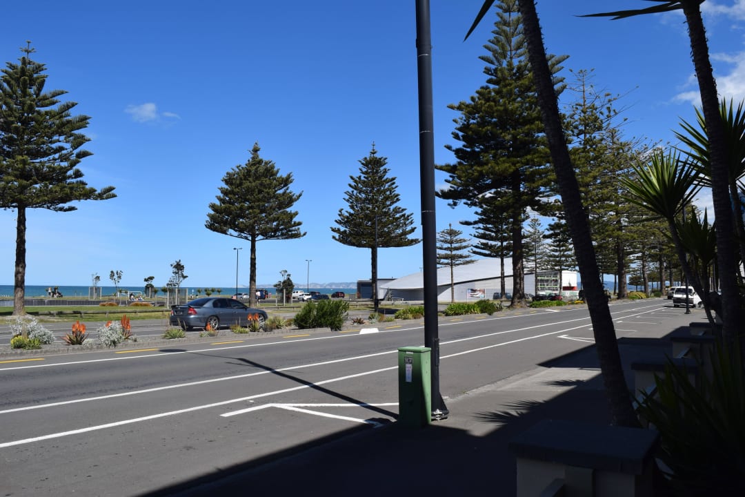 Blick aus dem Zimmer Motel Pebble Beach Motor Inn