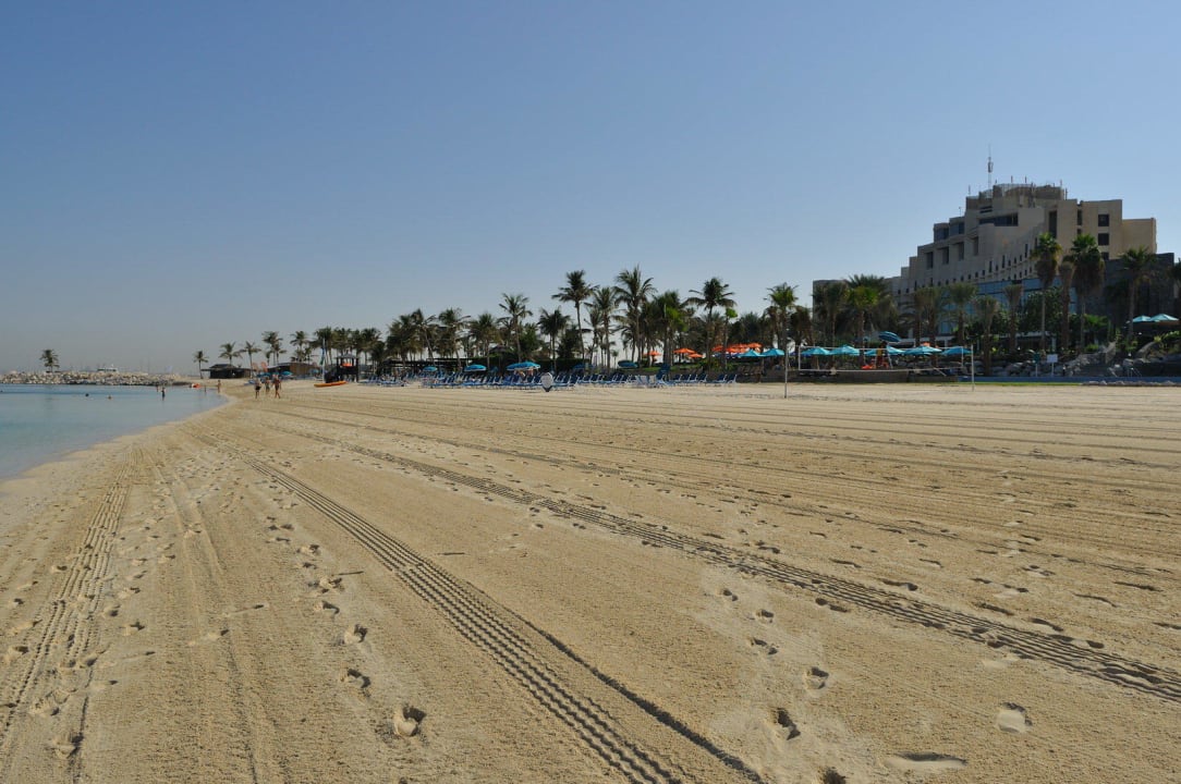 Strand JA Palm Tree Court