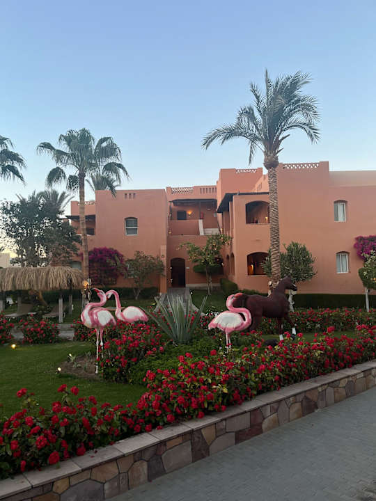 Gartenanlage Jaz Makadi Oasis Resort