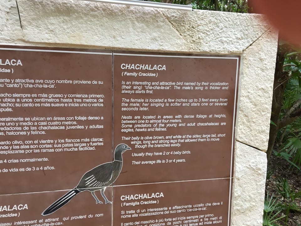 Sonstiges Catalonia Playa Maroma