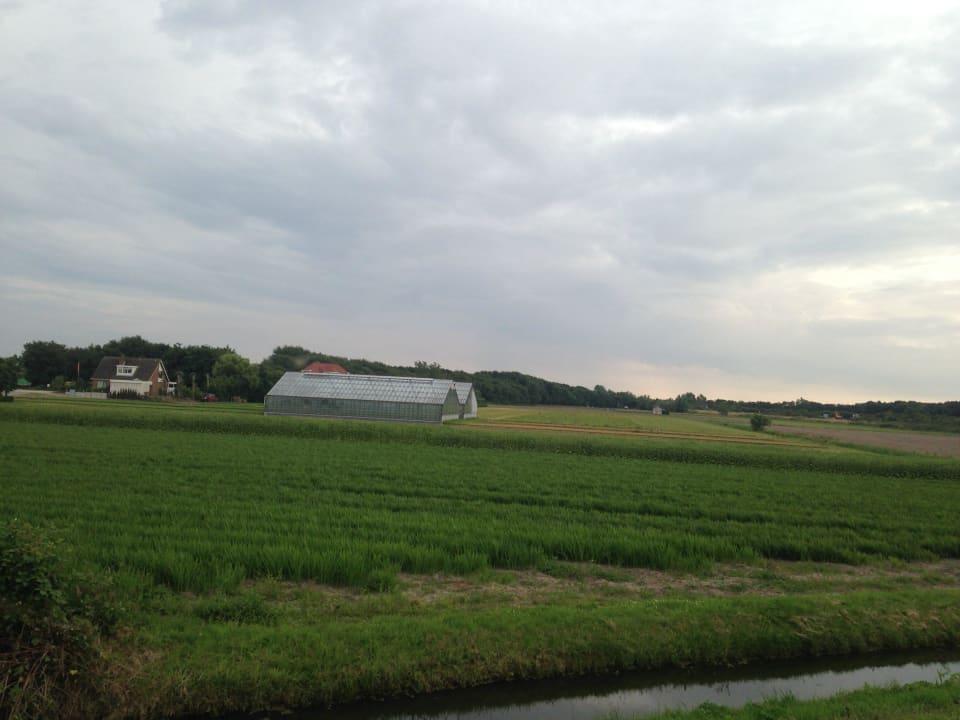 Niedałeko hotelu NH Noordwijk Conference Centre Leeuwenhorst