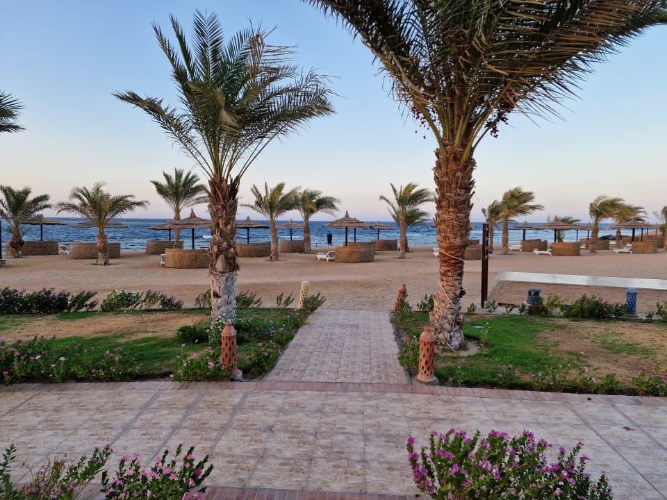 Strand Coral Sun Beach