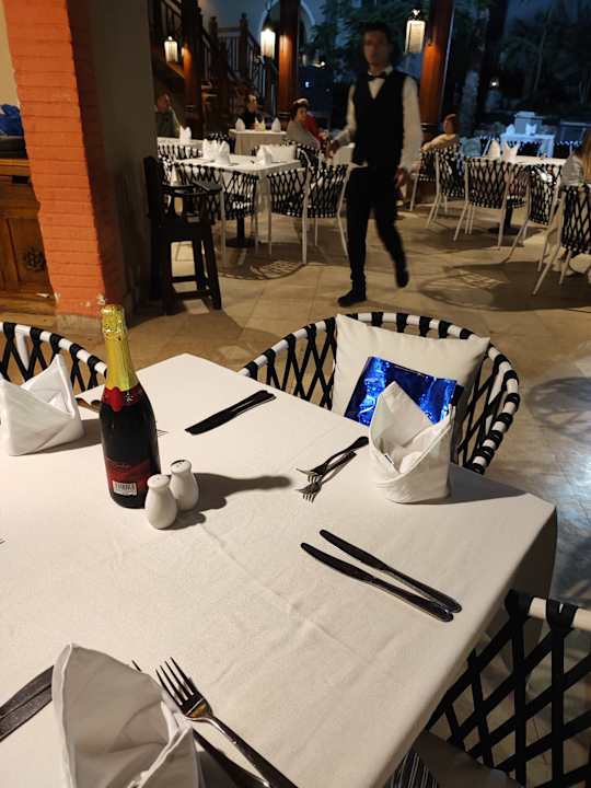 Gastro Ghazala Gardens