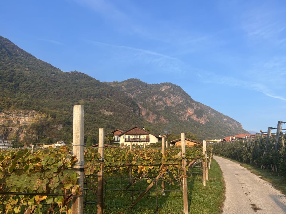 Außenansicht Ferienwohnungen Wieserhof