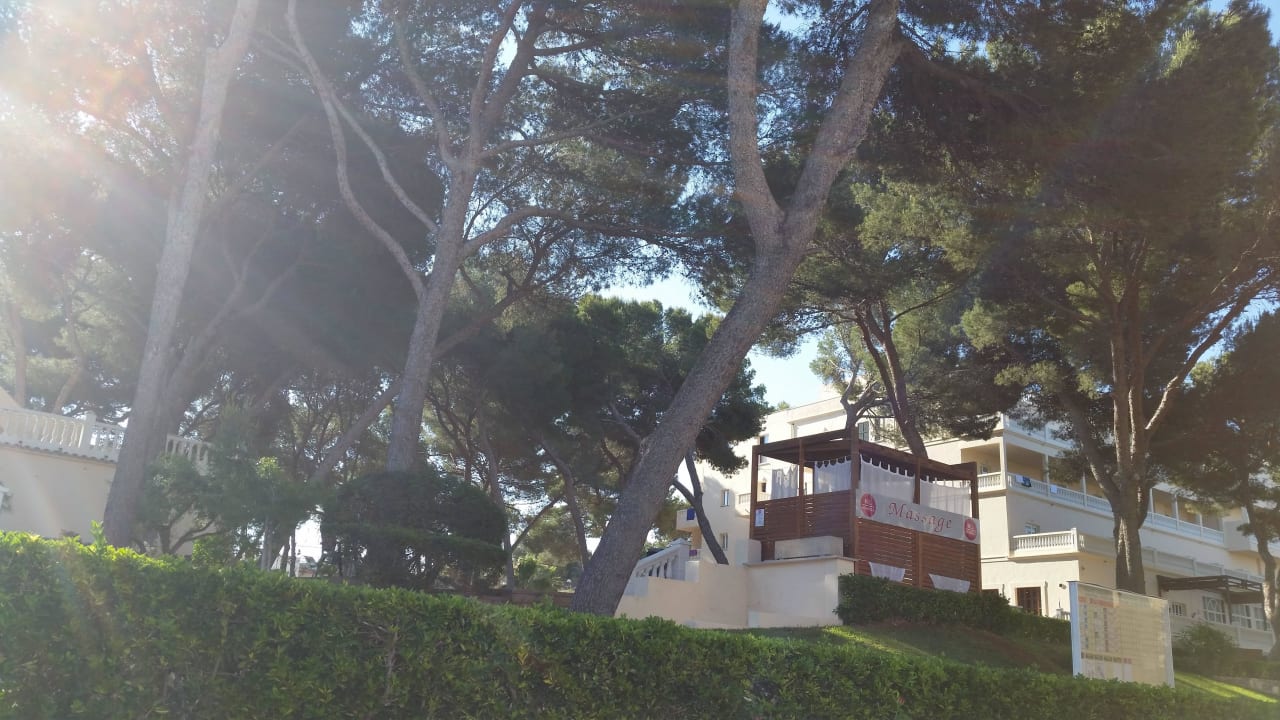 Bisschen Garten Ahoi! Urban Beach Hotel