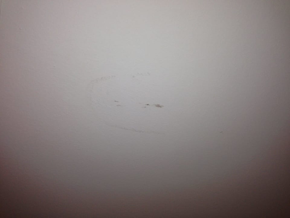 Getötete Insekten an der Zimmerwand. VIVA Cala Mesquida Resort & Spa