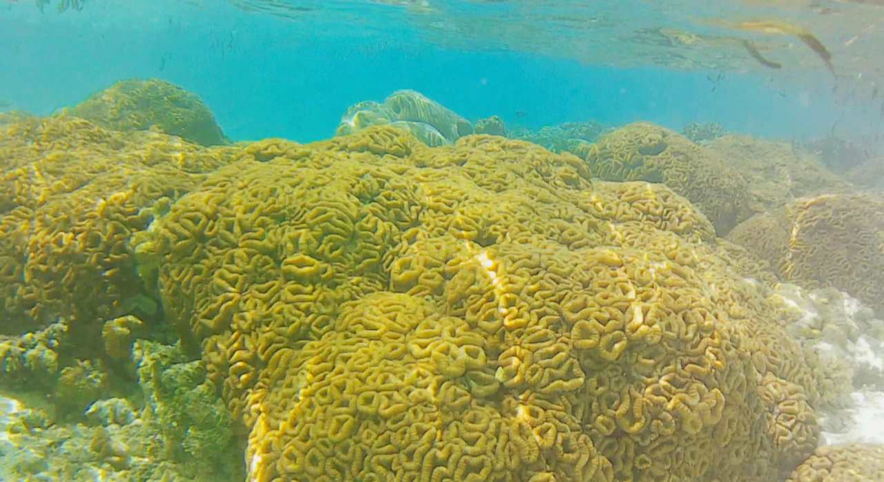 Strand Cinnamon Hakuraa Huraa Maldives