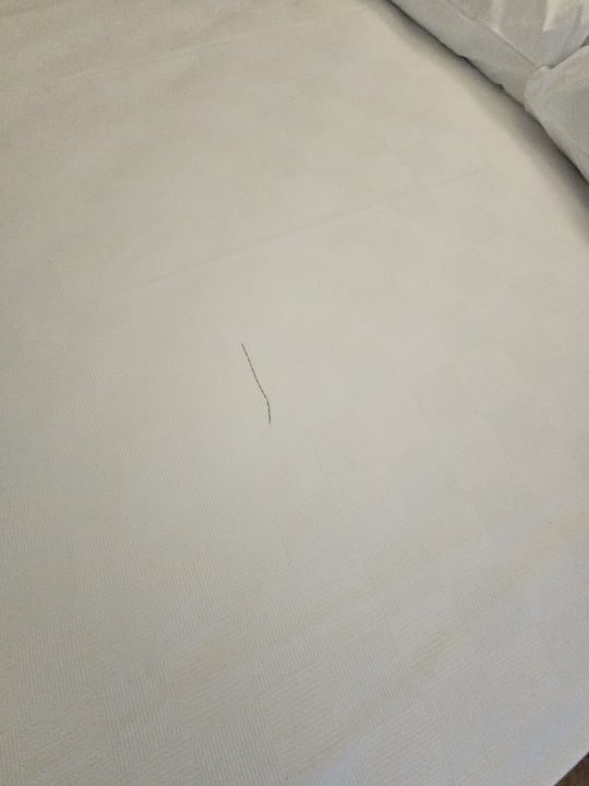 Zimmer Dream Fun World