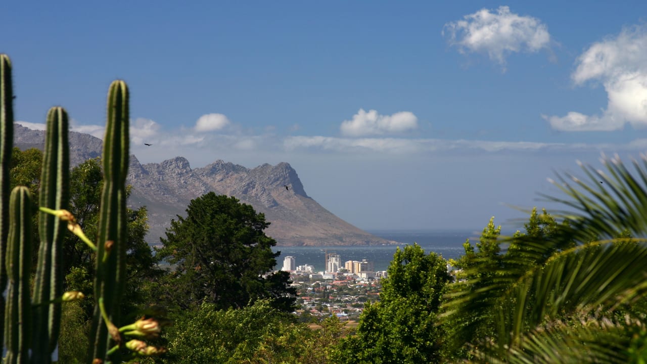 Ausblick Bed & Breakfast Somerset Sights