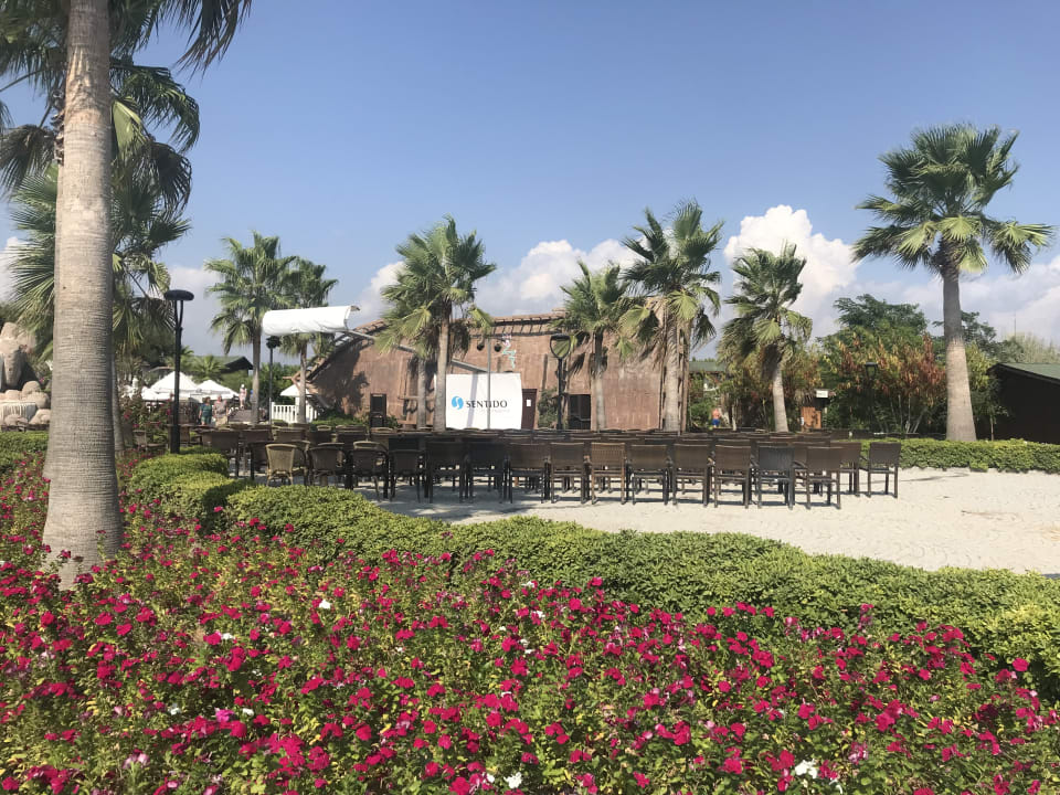 Gartenanlage Flora Garden Beach Hotel ( 16+ Adults Only )