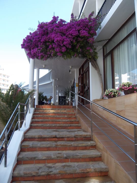 Eingang Hotel Osiris