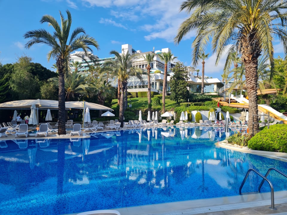 Pool Side Star Elegance