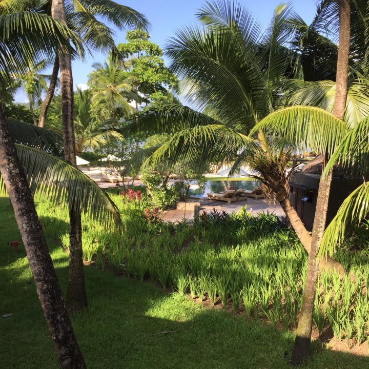 Balkonausblick Constance Ephelia