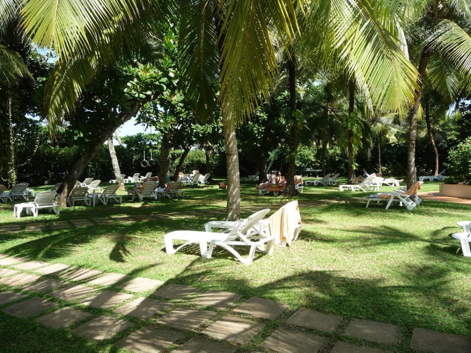 Liegewiese Hotel Lanka Princess Ayurveda